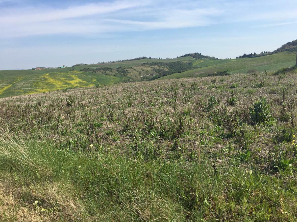 Cordella In Montalcino Wine Resort 外观 照片