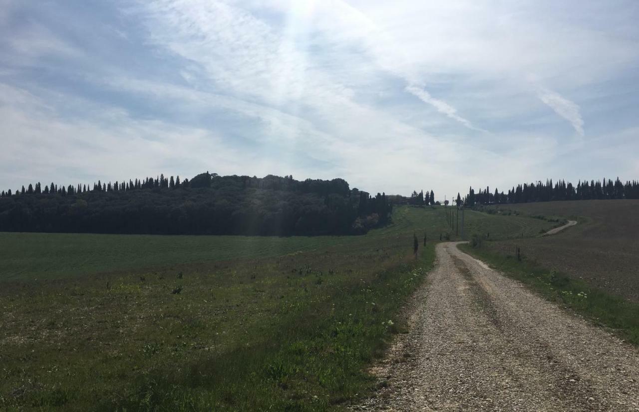 Cordella In Montalcino Wine Resort 外观 照片