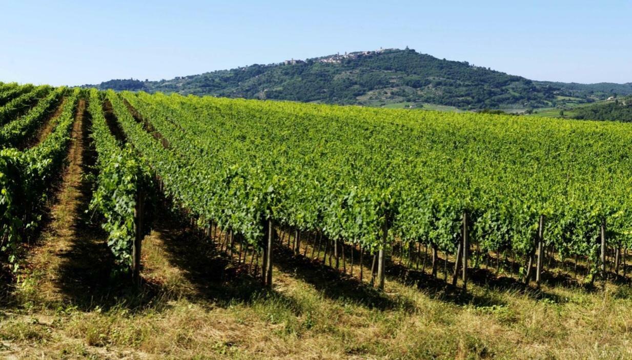 Cordella In Montalcino Wine Resort 外观 照片